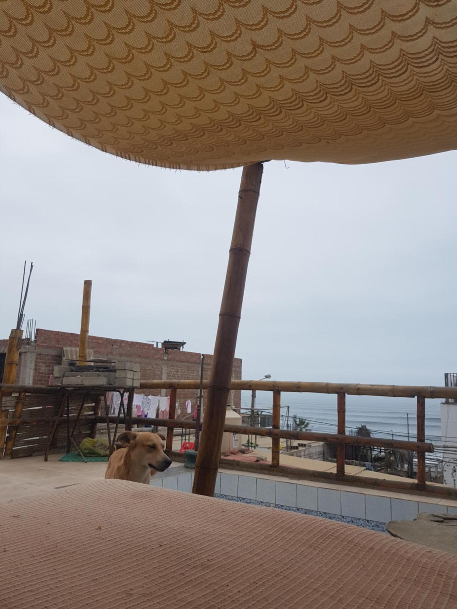 Appartement Huanchaco Surf Camp Extérieur photo